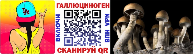 Галлюциногенные грибы Cubensis  хочу   Елец 
